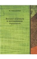 Vshody Derev'ev I Kustarnikov: (Russian)