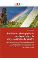 Étudier Les Champignons Impliqués Dans La Minéralisation Du Soufre