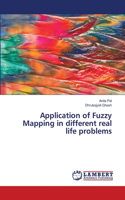 Application of Fuzzy Mapping in different real life problems