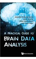 Practical Guide to Brain Data Analysis