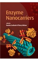 Enzyme Nanocarriers