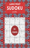 Large print Sudoku for Experts