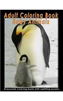 Adult Coloring Book Baby Animals
