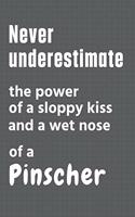 Never underestimate the power of a sloppy kiss and a wet nose of a Pinscher: For Pinscher Dog Fans