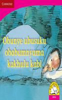 Obunye ubusuku obabumnyama kakhulu kabi Obunye ubusuku obabumnyama kakhulu kabi