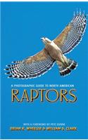 Photographic Guide to North American Raptors