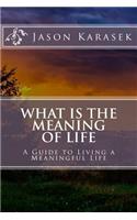 What Is the Meaning of Life: A Guide to Living a Meaningful Life