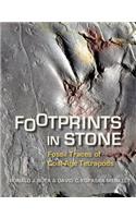 Footprints in Stone