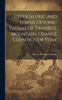 Upper Siluric And Lower Devonic Faunas Of Trilobite Mountain, Orange County, New York
