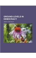 Ground-Levels in Democracy