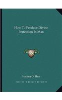 How To Produce Divine Perfection In Man