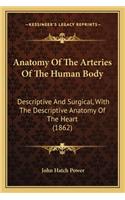 Anatomy of the Arteries of the Human Body