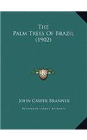 The Palm Trees Of Brazil (1902)