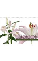 Blossoms - A Journey Through Nature's Forms and Colours 2017: (Calvendo Nature)