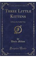 Three Little Kittens: A Story for Little Tots (Classic Reprint)