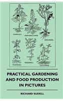 Practical Gardening And Food Production In Pictures