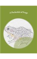 A Pocketful of Frogs
