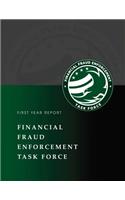Financial Fraud Enforcement Task Force 2010