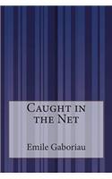Caught in the Net