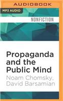Propaganda and the Public Mind