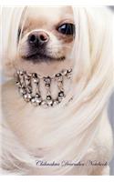 Chihuahua December Notebook Chihuahua Record, Log, Diary, Special Memories, To Do List, Academic Notepad, Scrapbook & More