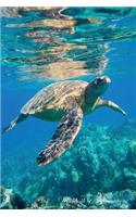 Green Sea Turtle Workbook of Affirmations Green Sea Turtle Workbook of Affirmations: Bullet Journal, Food Diary, Recipe Notebook, Planner, To Do List, Scrapbook, Academic Notepad