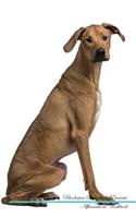 Rhodesian Ridgeback Affirmations Workbook Rhodesian Ridgeback Presents