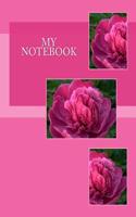 My Notebook: (English)