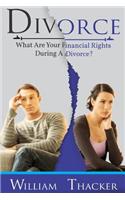 Divorce: What are Your Financial Rights During a Divorce(2 Divorce)