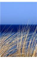 Sea Grass on the Dunes by the Coast Journal