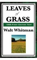 Leaves of Grass (1855 First Edition Text)