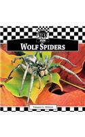 Wolf Spiders