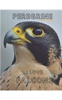 Peregrine falcon Sketchbook Large sketchbook for drawing 8.5 x 11 inch (21.59 x 27.94 cm) 150 pages
