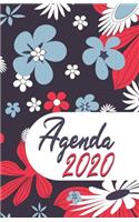 Agenda 2020