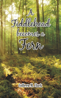 Fiddlehead becomes a Fern
