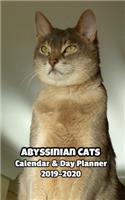 Abyssinian Cats Calendar & Day Planner 2019-2020
