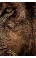 Lion Notebook