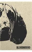 Bloodhound Notebook: Stylish Lined Notebook for St. Hubert Hound Lovers(14 Pedigree Prints Dog Breed Notebooks and Journals)