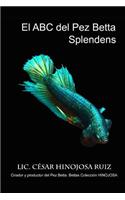El ABC del Pez Betta Splendens