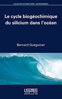 Le cycle biogéochimique du silicium dans l'océan