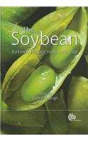 Soybean: Botany, Production and Uses