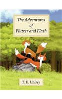 Adventures of Flutter and Flash