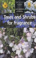 Trees And Shrubs For Fragrance