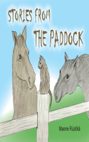 Stories from the Paddock