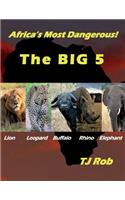 Africa's Most Dangerous - The Big 5