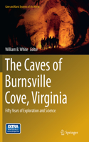 Caves of Burnsville Cove, Virginia