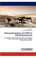 Characterization of CCPP in Small Ruminants