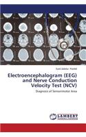 Electroencephalogram (Eeg) and Nerve Conduction Velocity Test (NCV)