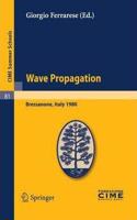 Wave Propagation: Lectures given at a Summer School of the Centro Internazionale Matematico Estivo(Volume 81)[Special Indian Edition - Reprint Year: 2020] [Paperback] Giorgio Ferrarese