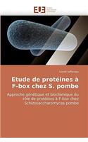 Etude de protéines à f-box chez s. pombe: (Omn.Univ.Europ.)